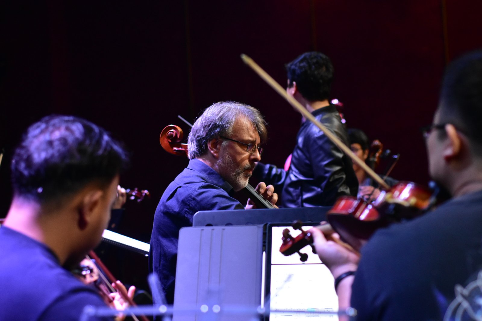Vahur Luhtsalu in concert